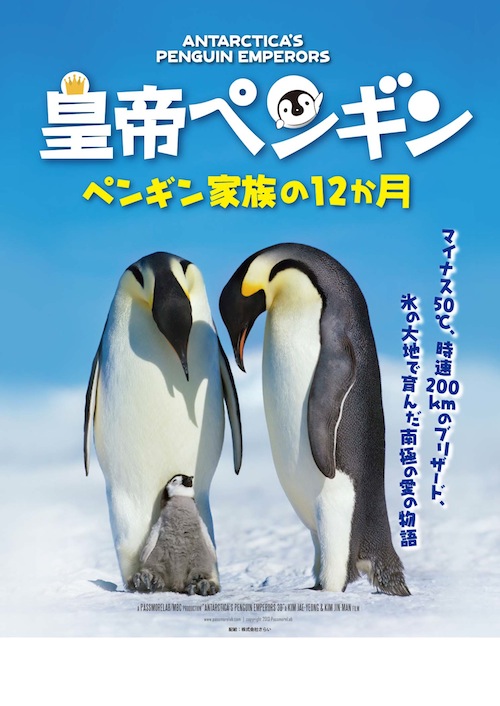 皇帝ペンギン　ペンギン家族の12ヶ月