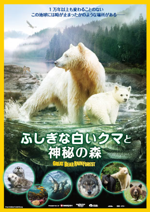 ふしぎな白いクマと神秘の森